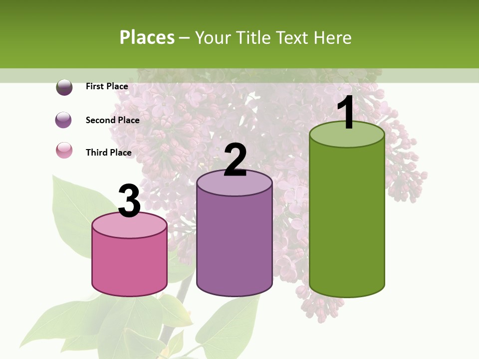 White Blossom Botanical PowerPoint Template