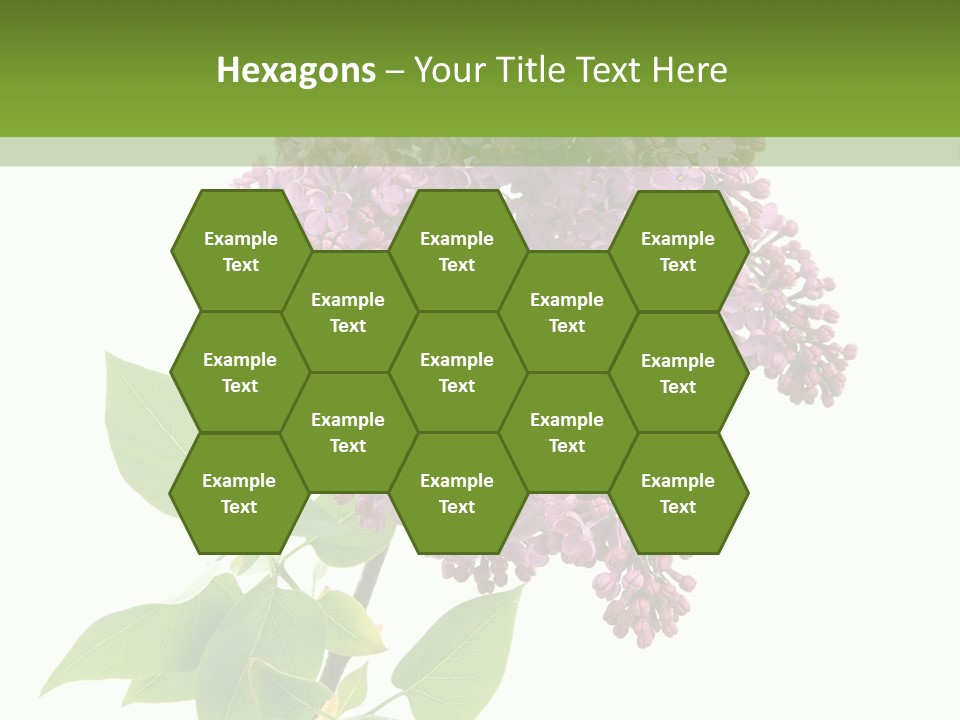 White Blossom Botanical PowerPoint Template