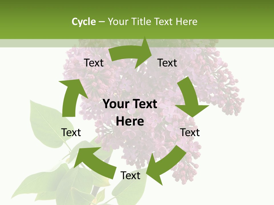 White Blossom Botanical PowerPoint Template
