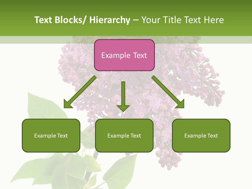 White Blossom Botanical PowerPoint Template