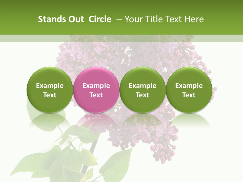 White Blossom Botanical PowerPoint Template