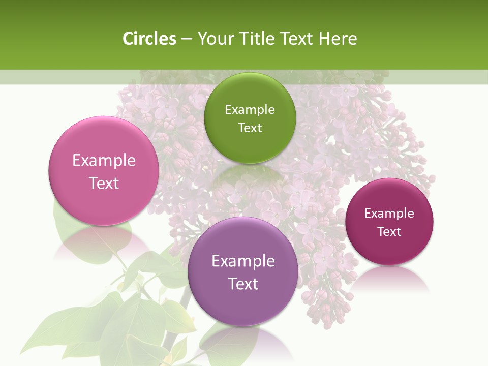 White Blossom Botanical PowerPoint Template