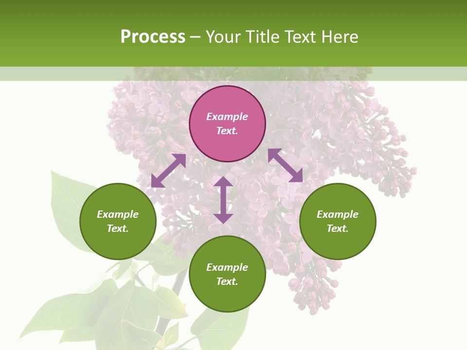 White Blossom Botanical PowerPoint Template