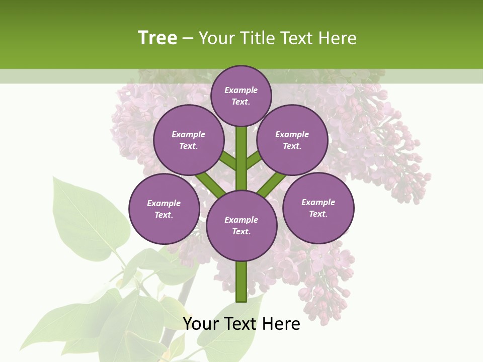 White Blossom Botanical PowerPoint Template