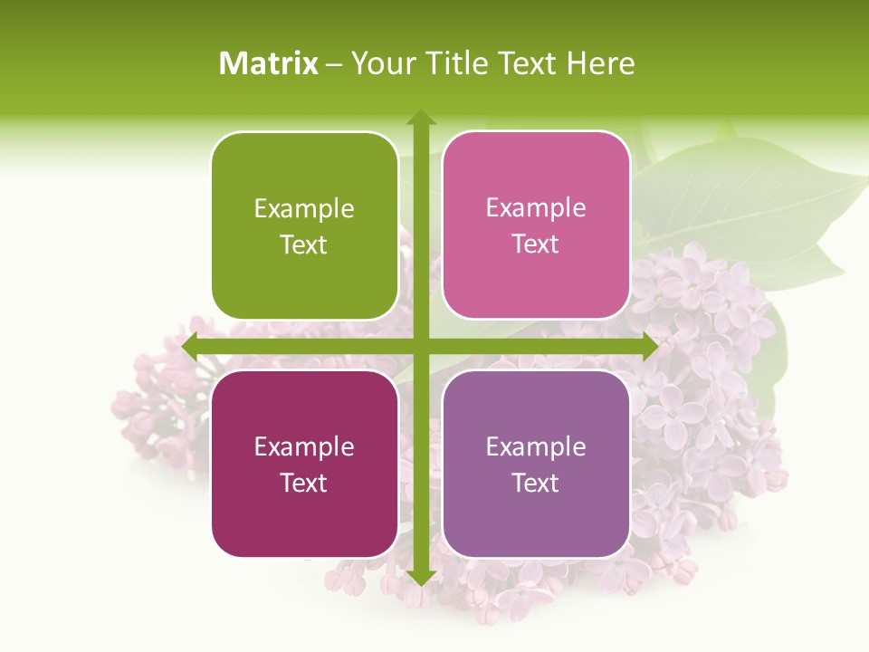 Lilac Syringe Isolated PowerPoint Template