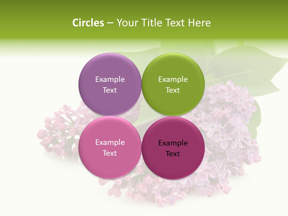 Lilac Syringe Isolated PowerPoint Template