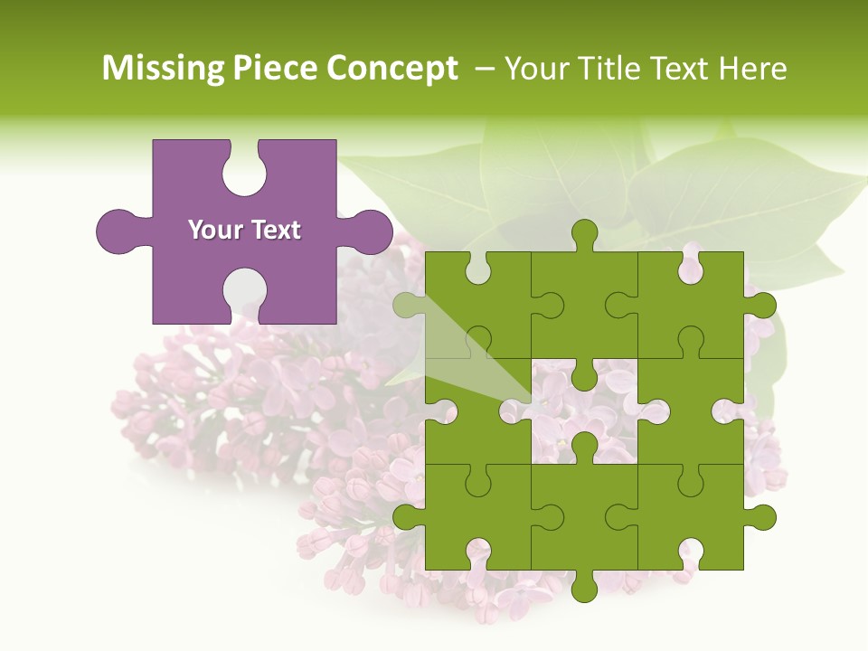 Lilac Syringe Isolated PowerPoint Template