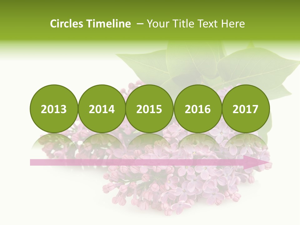 Lilac Syringe Isolated PowerPoint Template