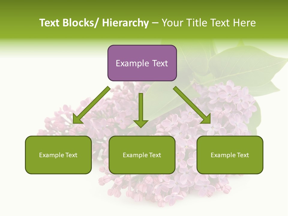 Lilac Syringe Isolated PowerPoint Template