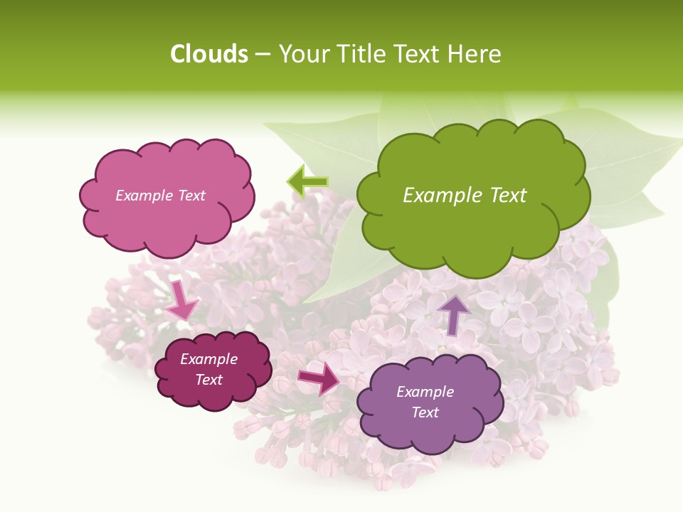 Lilac Syringe Isolated PowerPoint Template