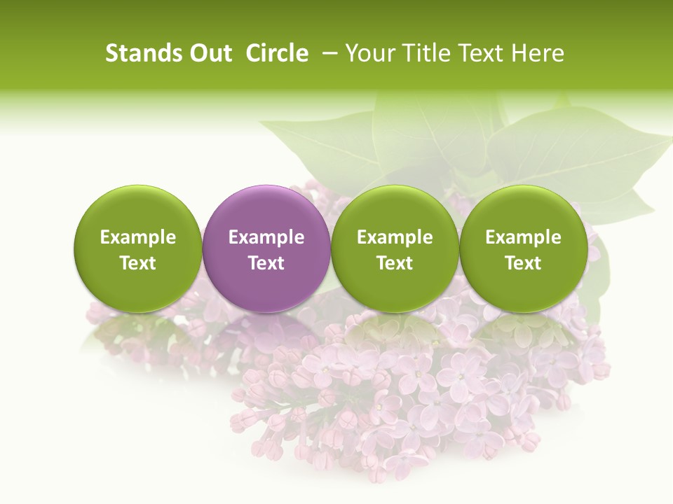 Lilac Syringe Isolated PowerPoint Template