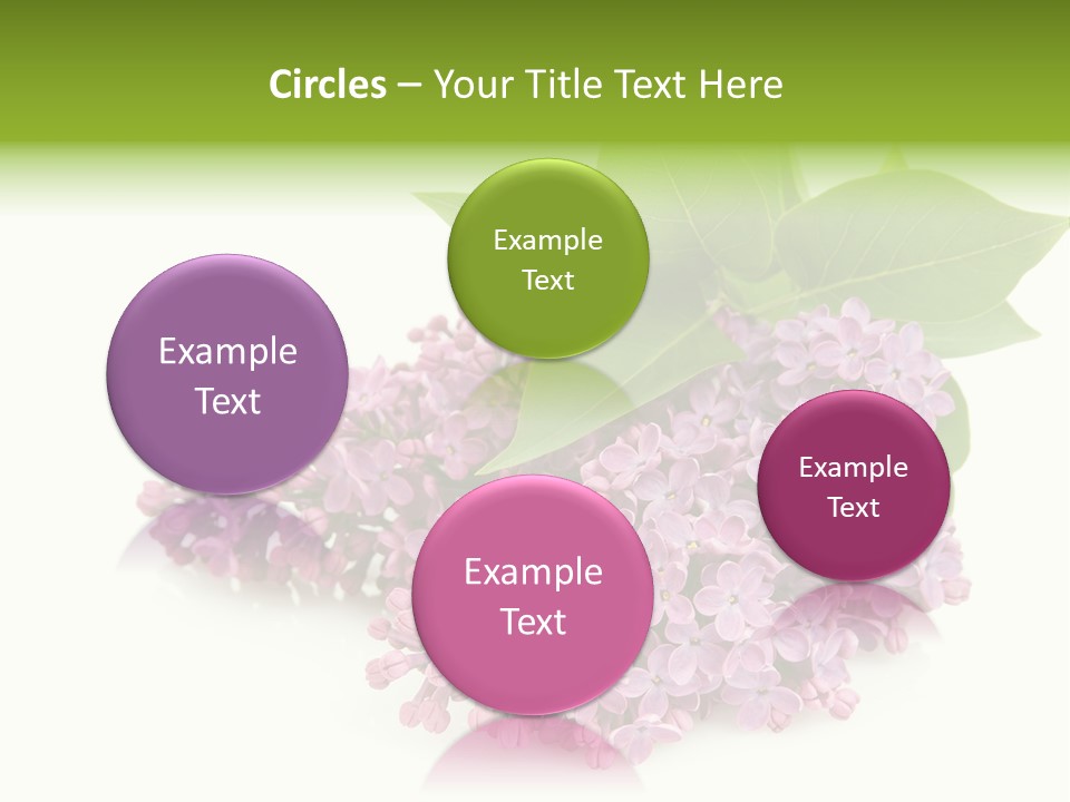 Lilac Syringe Isolated PowerPoint Template