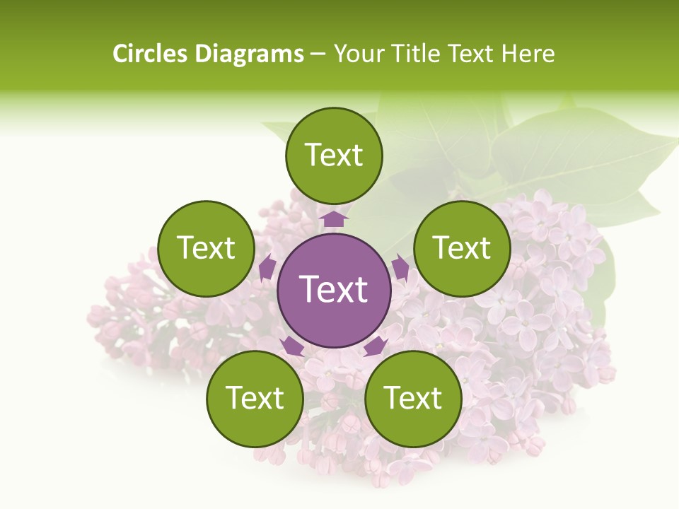 Lilac Syringe Isolated PowerPoint Template