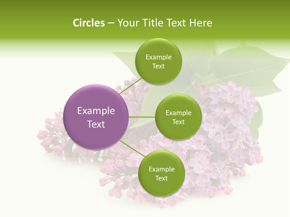 Lilac Syringe Isolated PowerPoint Template