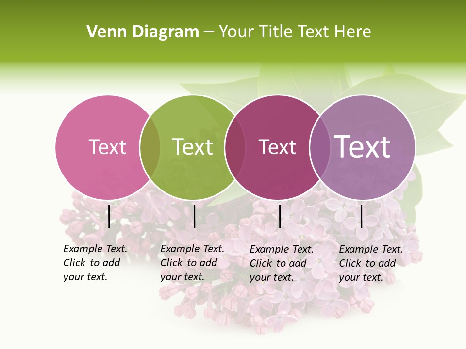 Lilac Syringe Isolated PowerPoint Template