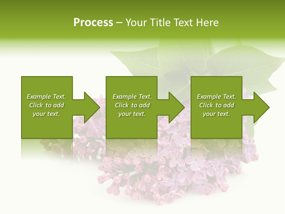 Lilac Syringe Isolated PowerPoint Template