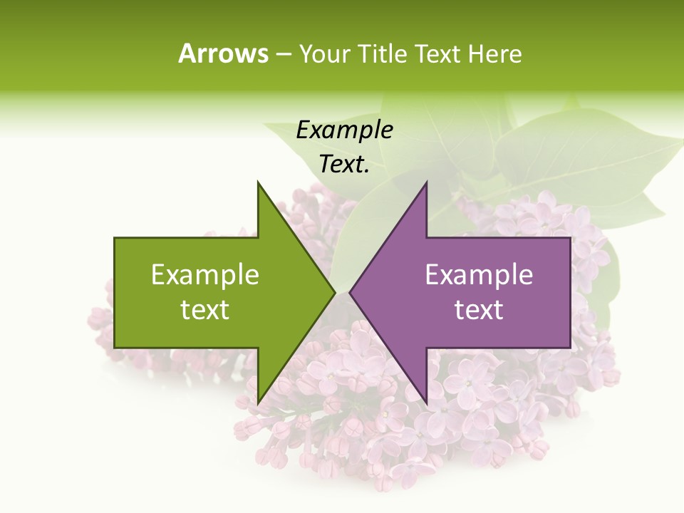 Lilac Syringe Isolated PowerPoint Template