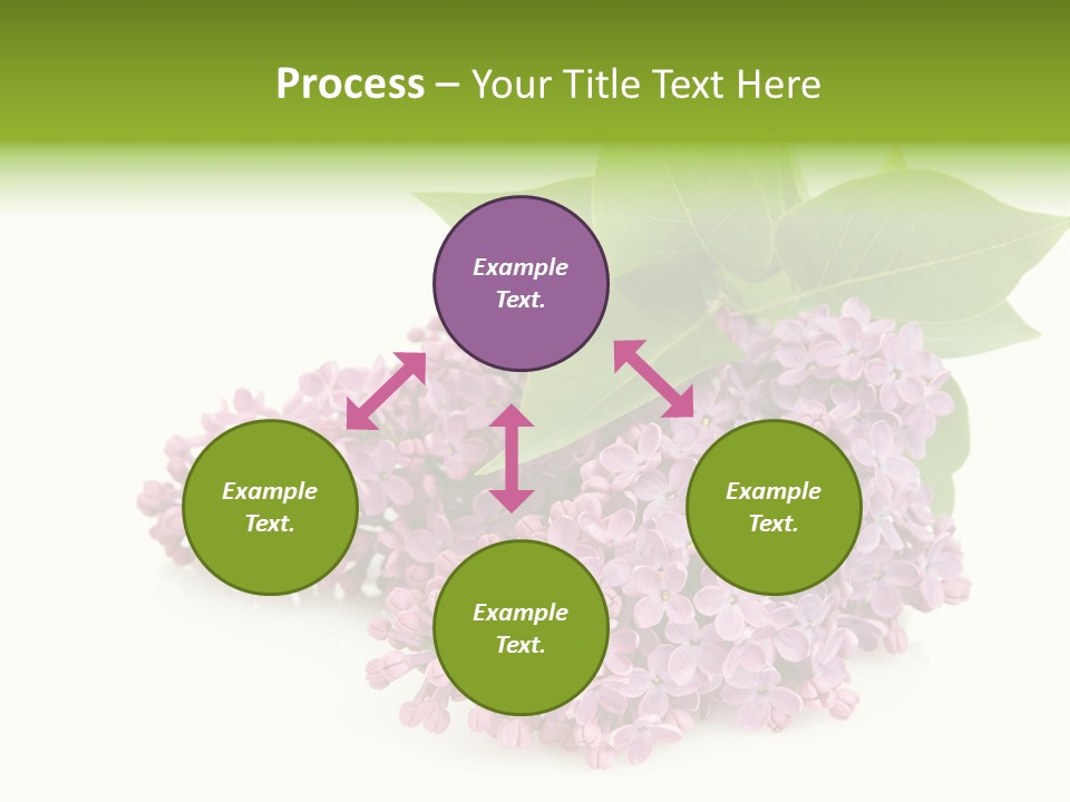 Lilac Syringe Isolated PowerPoint Template