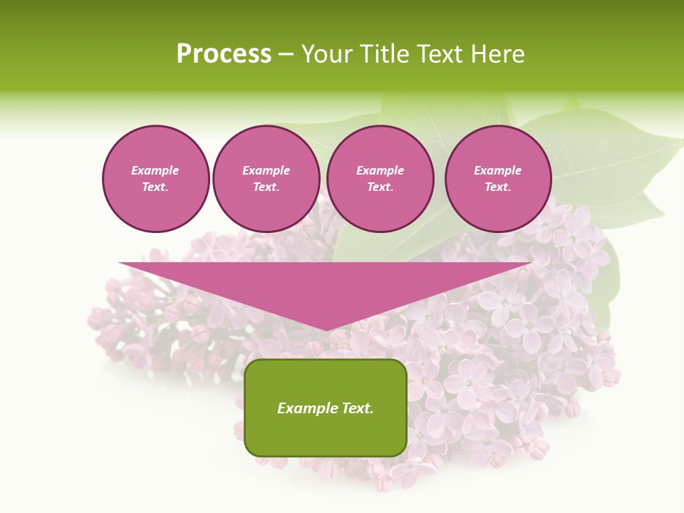 Lilac Syringe Isolated PowerPoint Template