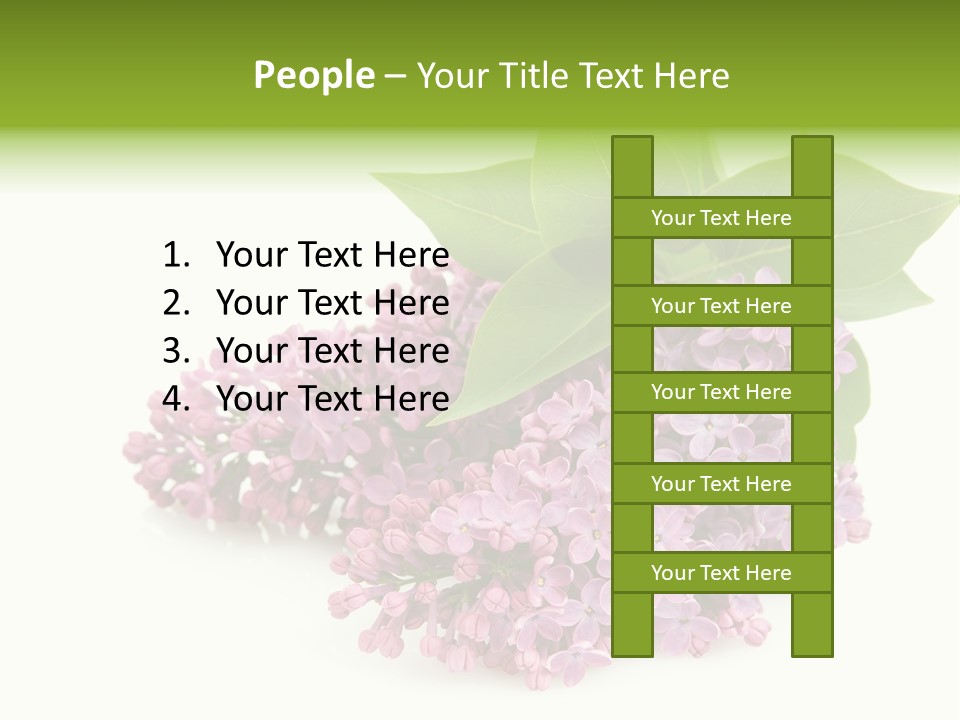 Lilac Syringe Isolated PowerPoint Template