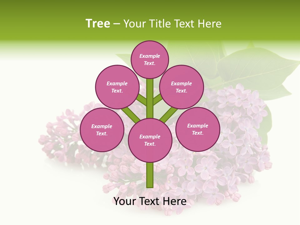 Lilac Syringe Isolated PowerPoint Template