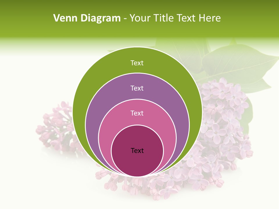 Lilac Syringe Isolated PowerPoint Template