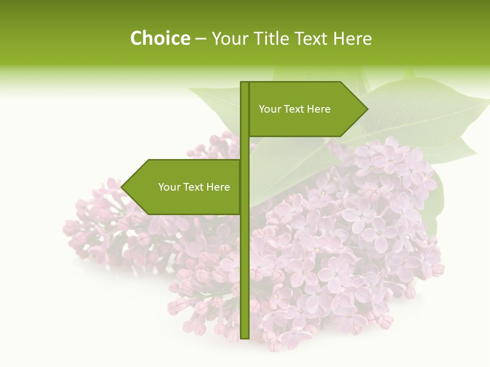 Lilac Syringe Isolated PowerPoint Template