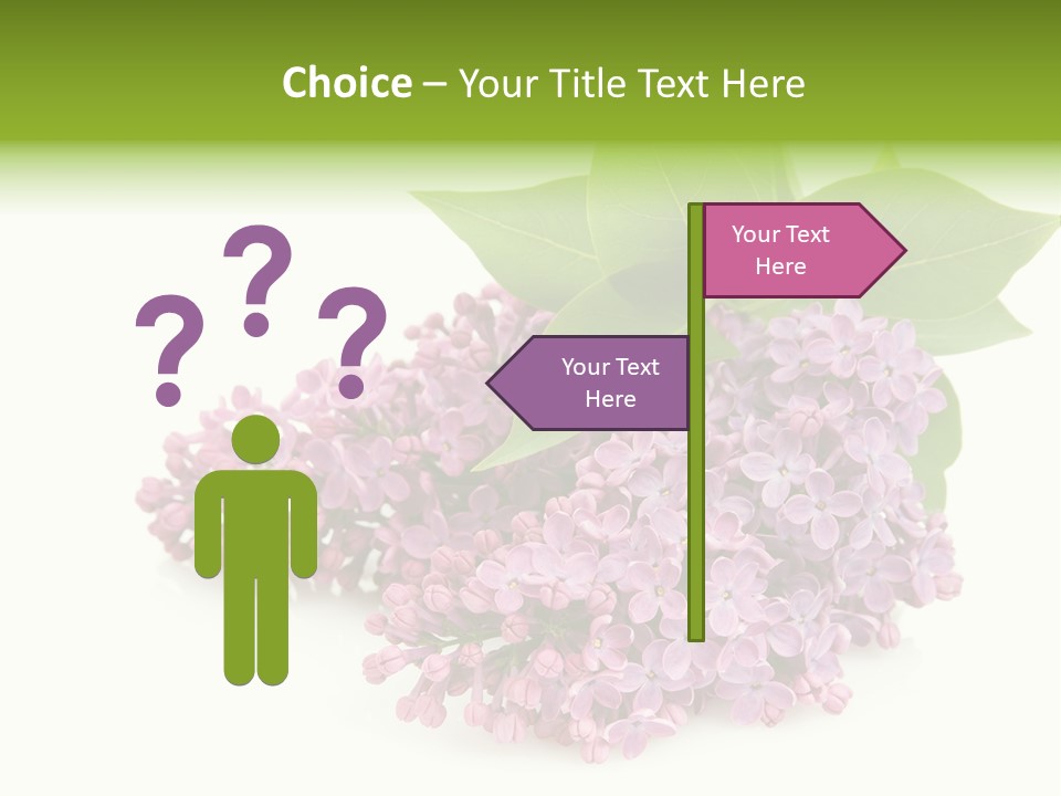 Lilac Syringe Isolated PowerPoint Template