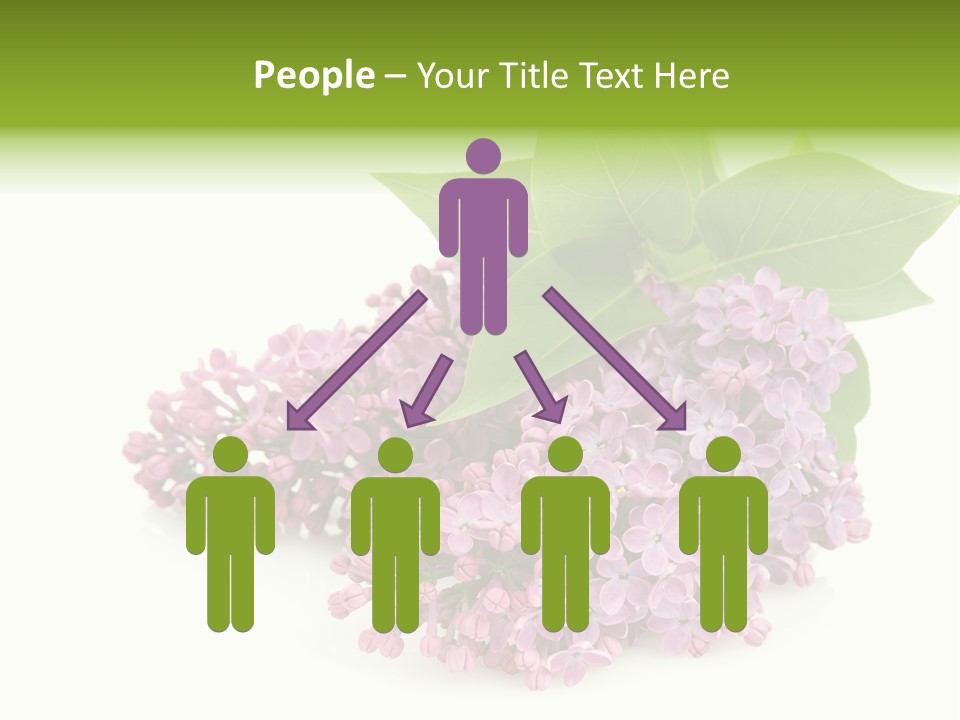 Lilac Syringe Isolated PowerPoint Template