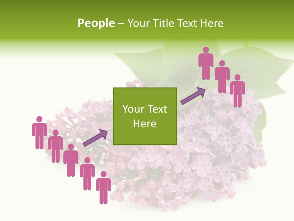 Lilac Syringe Isolated PowerPoint Template