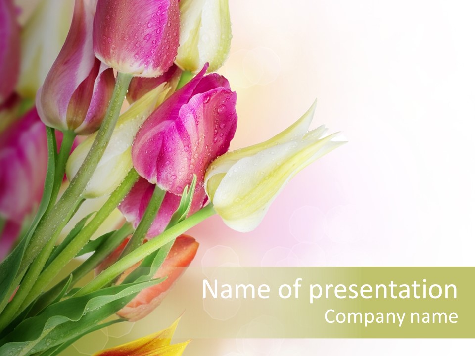 Border Stem Bud PowerPoint Template