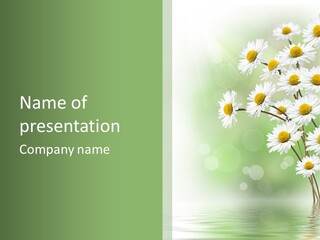 White Nature Plant PowerPoint Template