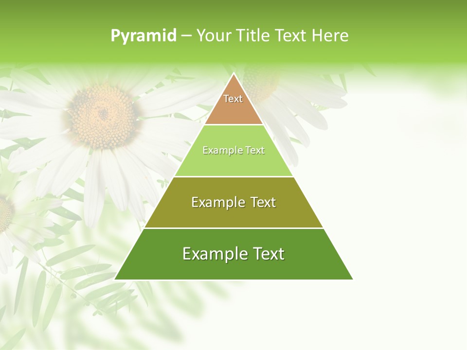 Leaf Spring Romance PowerPoint Template
