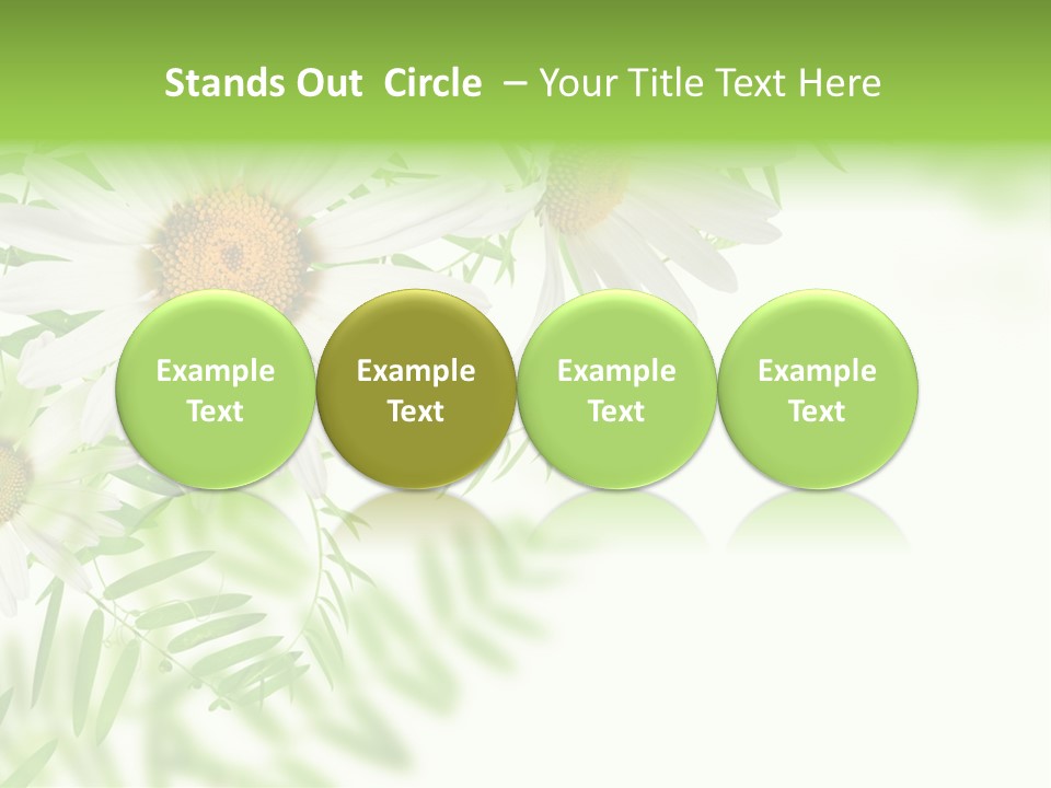 Leaf Spring Romance PowerPoint Template