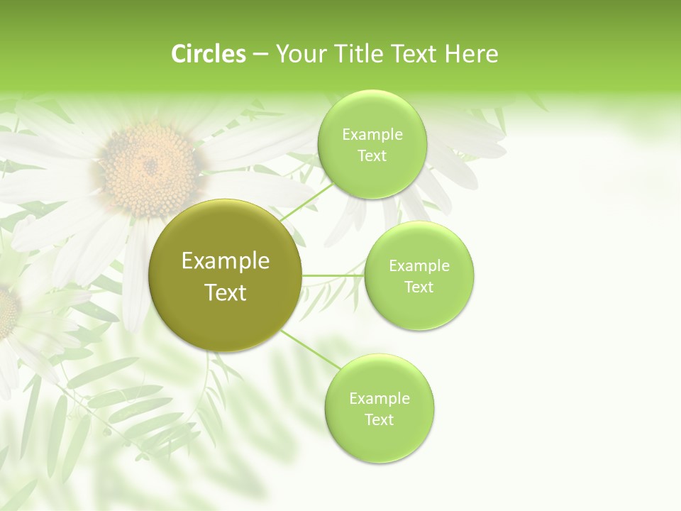 Leaf Spring Romance PowerPoint Template