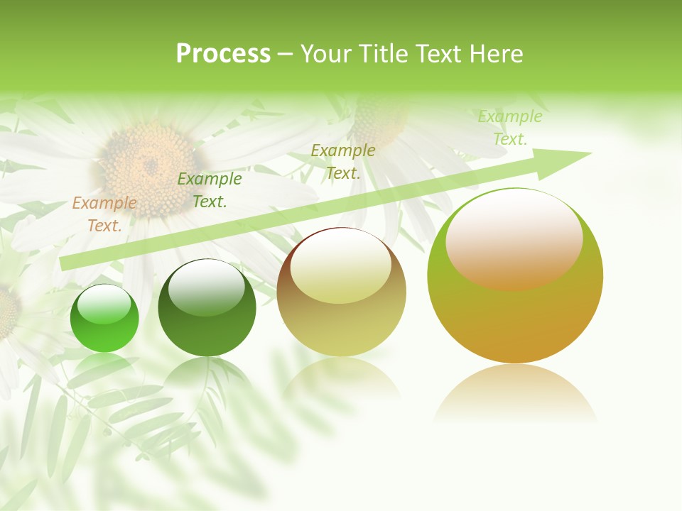 Leaf Spring Romance PowerPoint Template