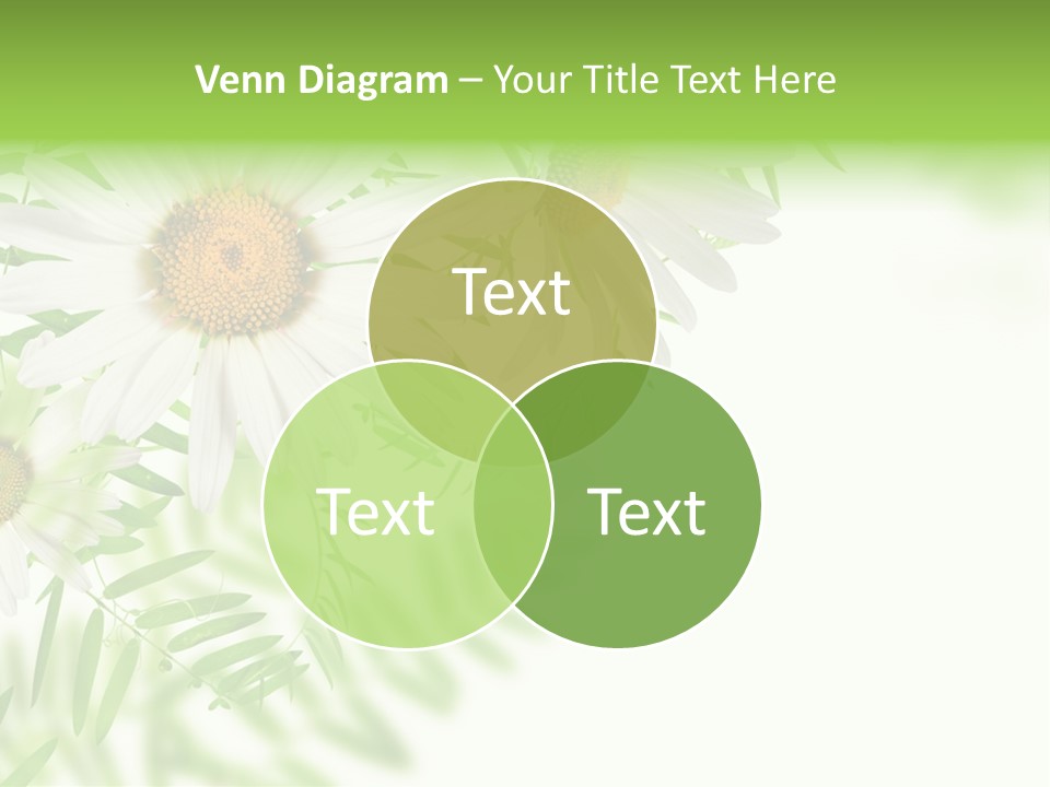 Leaf Spring Romance PowerPoint Template