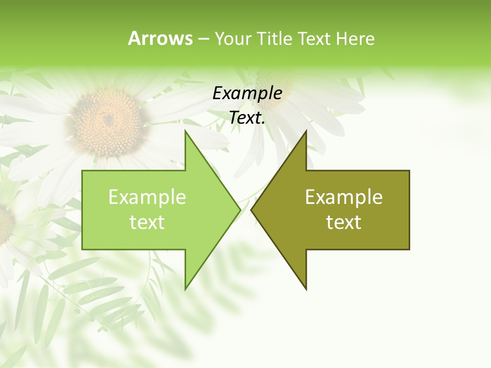 Leaf Spring Romance PowerPoint Template