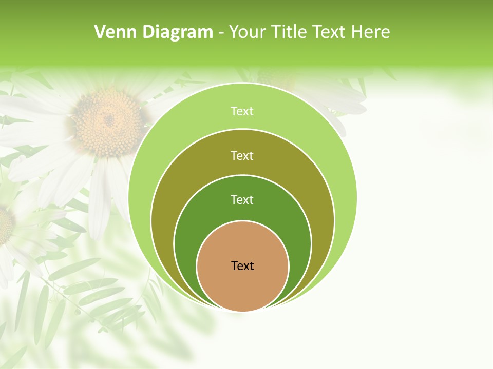 Leaf Spring Romance PowerPoint Template