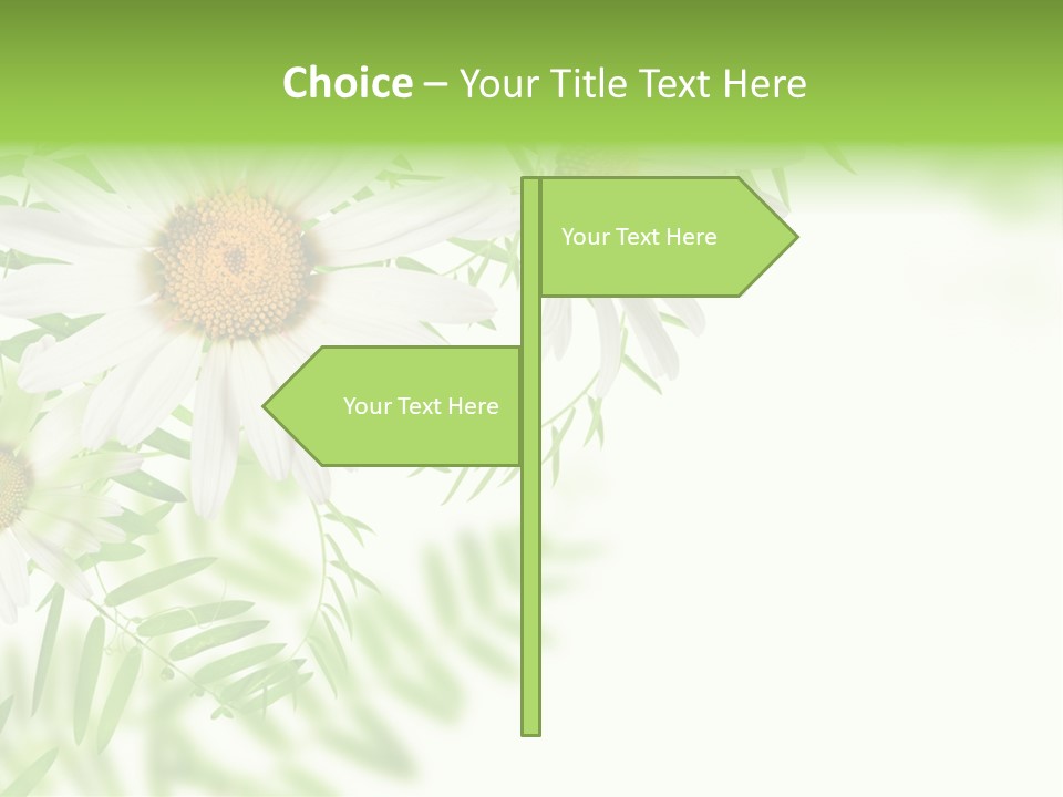 Leaf Spring Romance PowerPoint Template