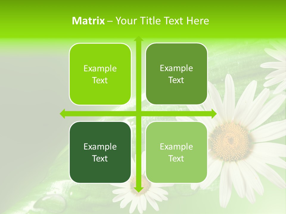 Frame Green Wet PowerPoint Template