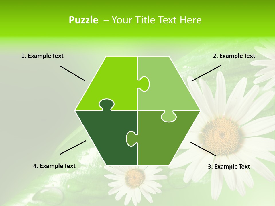 Frame Green Wet PowerPoint Template