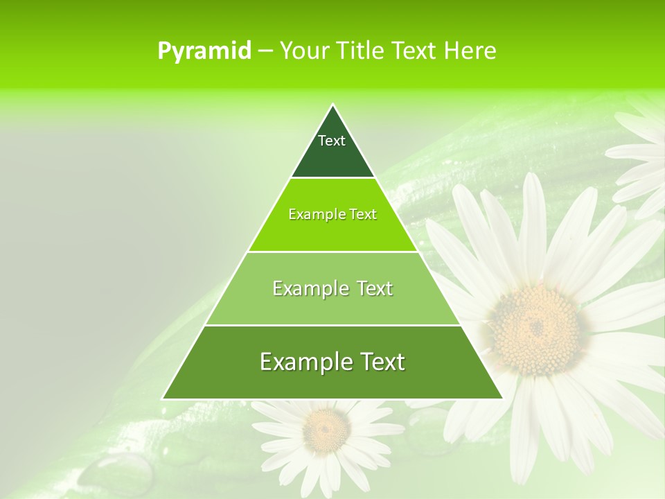 Frame Green Wet PowerPoint Template