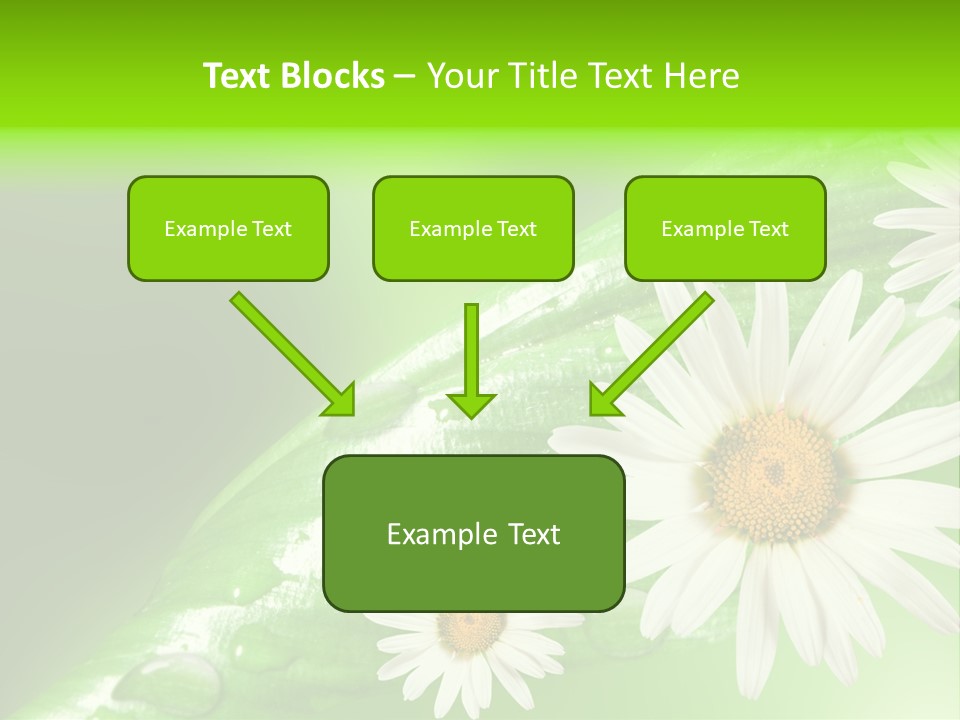 Frame Green Wet PowerPoint Template