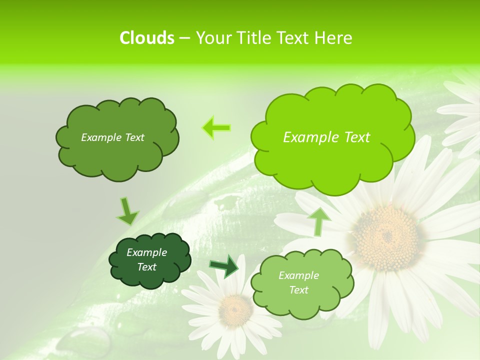 Frame Green Wet PowerPoint Template