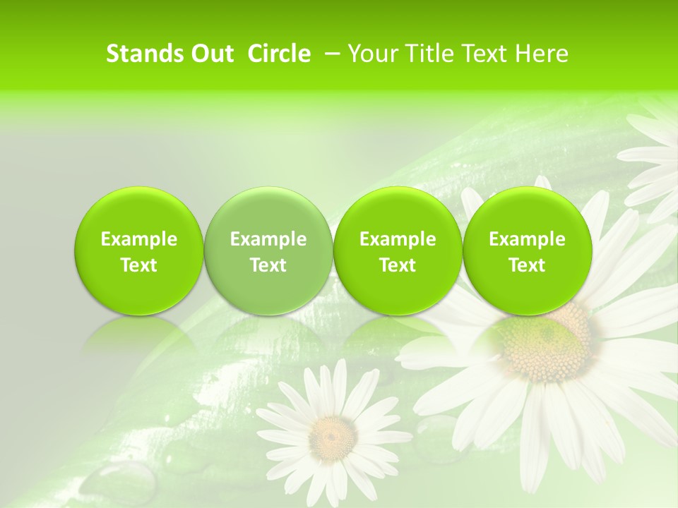 Frame Green Wet PowerPoint Template