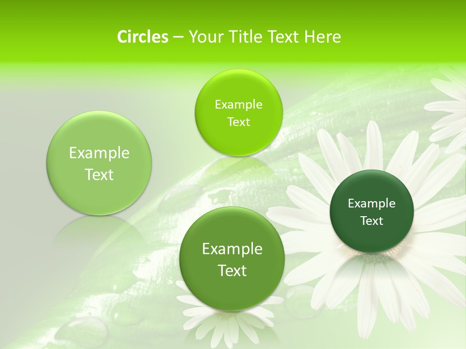 Frame Green Wet PowerPoint Template