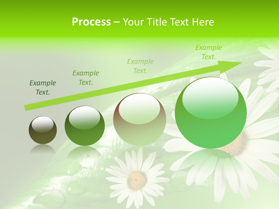 Frame Green Wet PowerPoint Template