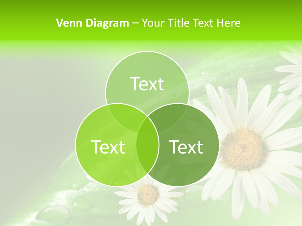 Frame Green Wet PowerPoint Template