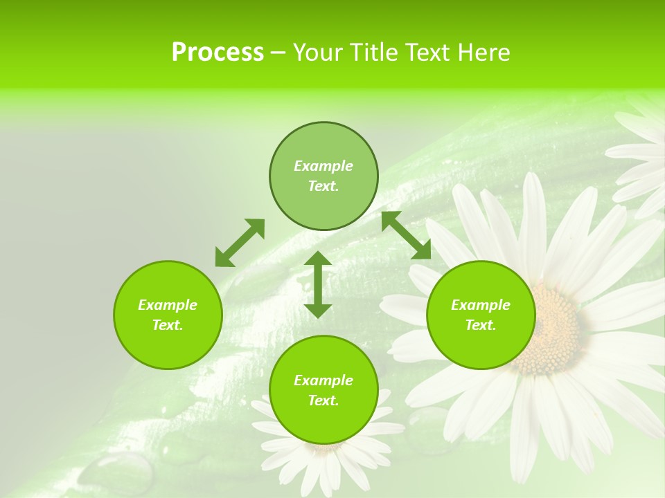 Frame Green Wet PowerPoint Template